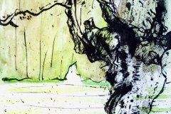 tree-greenwash