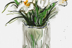 Daffodils