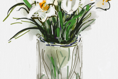 ipad-daffs