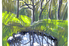 ipad-pond-reflets