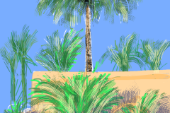 Palms