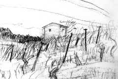 les-vignes-b-w