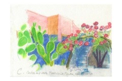 Cactus-and-roses-Masseria-La-Chiusa