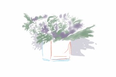 Vase-sketch